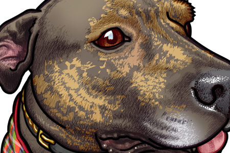 Close up detail of 451 portrait of Molly